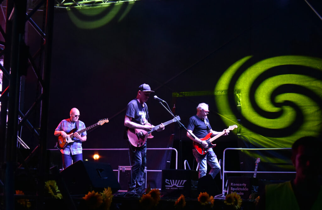 Zdjęcia z Festowalu KOrzenie Europy. Na zdjęciach widoczni są artyści na scenie, prowadzący koncert , publiczność i otoczenie koncertu - Park Bródnowski.