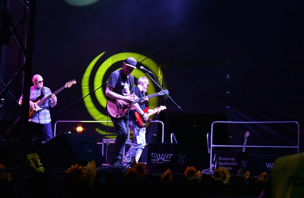 Zdjęcia z Festowalu KOrzenie Europy. Na zdjęciach widoczni są artyści na scenie, prowadzący koncert , publiczność i otoczenie koncertu - Park Bródnowski.