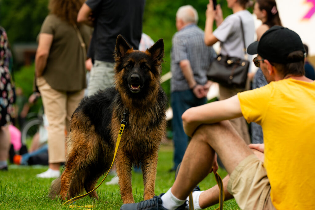 Zdjęcia z Festowalu KOrzenie Europy. Na zdjęciach widoczni są artyści na scenie, prowadzący koncert , publiczność i otoczenie koncertu - Park Bródnowski.
