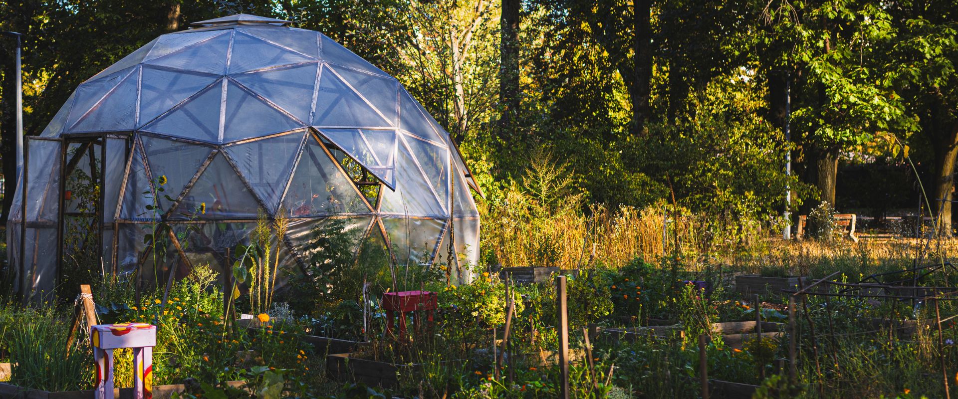 Przestrzeń Dzikiego Ogrodu