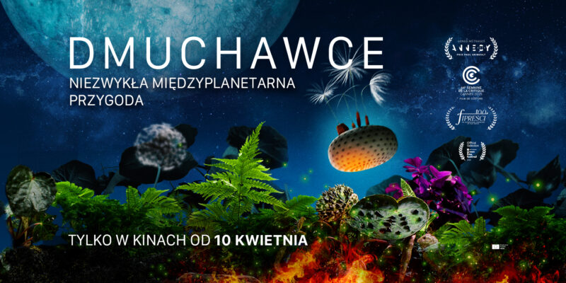 Dmuchawce