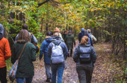 Grupa osób idąca przez jesienny las.