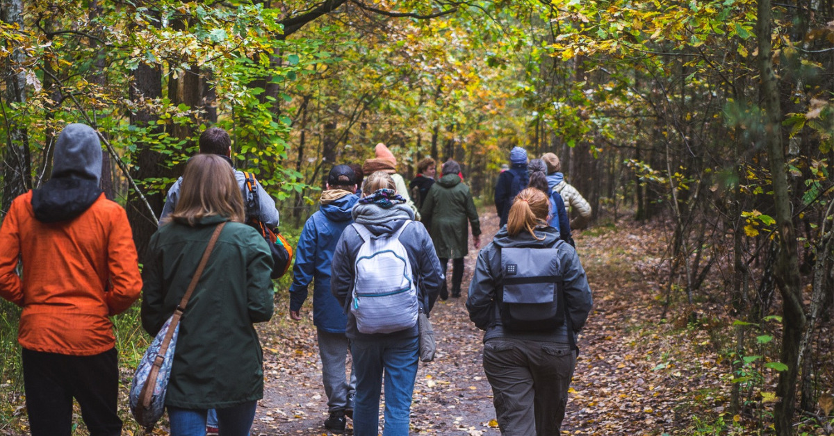 Grupa osób idąca przez jesienny las.