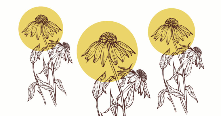 Trzy rysunki kwiatów na tle żółtych kół.