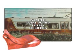 W tle pociąg SKM, na pierwszym planie ogrodowa leżanka.